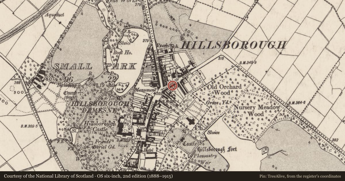 Ordnance Survey six-inch map, 2nd edition (1888–1915) covering the location of 13, 15, 17 Ballynahinch Street, Lisburn and Castlereagh, with a pin at the register's coordinates