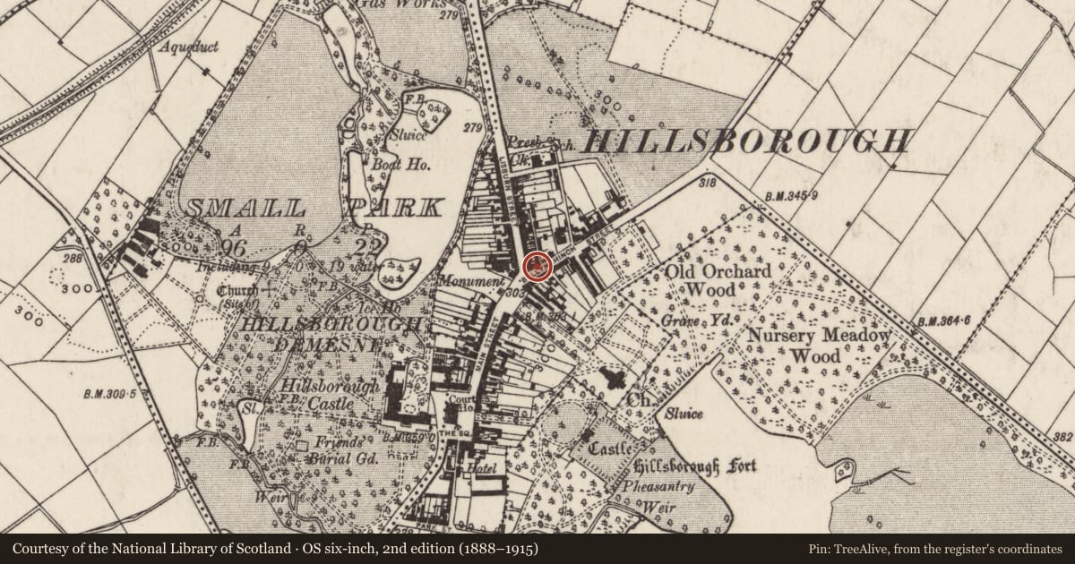 Ordnance Survey six-inch map, 2nd edition (1888–1915) covering the location of 2-4 Ballynahinch Street, Lisburn and Castlereagh, with a pin at the register's coordinates