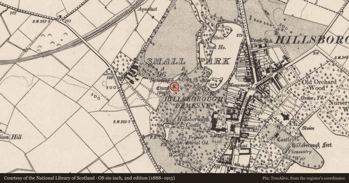 Ordnance Survey six-inch map, 2nd edition (1888–1915) covering the location of Old Chapel, Lisburn and Castlereagh, with a pin at the register's coordinates
