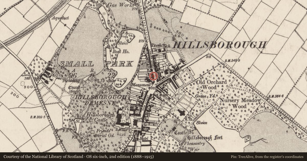 Ordnance Survey six-inch map, 2nd edition (1888–1915) covering the location of 10 Lisburn Street, Lisburn and Castlereagh, with a pin at the register's coordinates