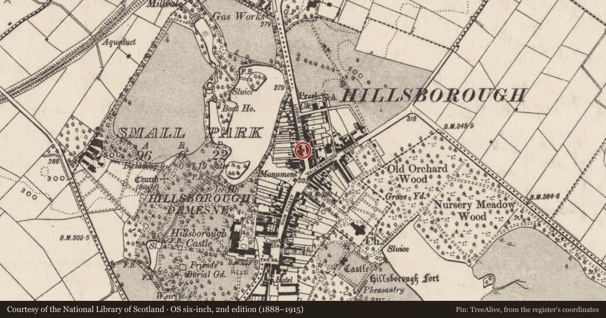 Ordnance Survey six-inch map, 2nd edition (1888–1915) covering the location of 16 Lisburn Street, Lisburn and Castlereagh, with a pin at the register's coordinates