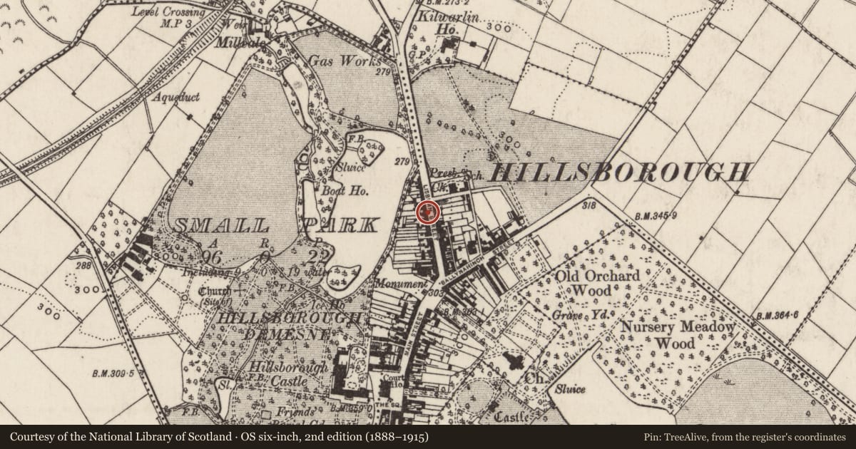Ordnance Survey six-inch map, 2nd edition (1888–1915) covering the location of 40 Lisburn Street, Lisburn and Castlereagh, with a pin at the register's coordinates