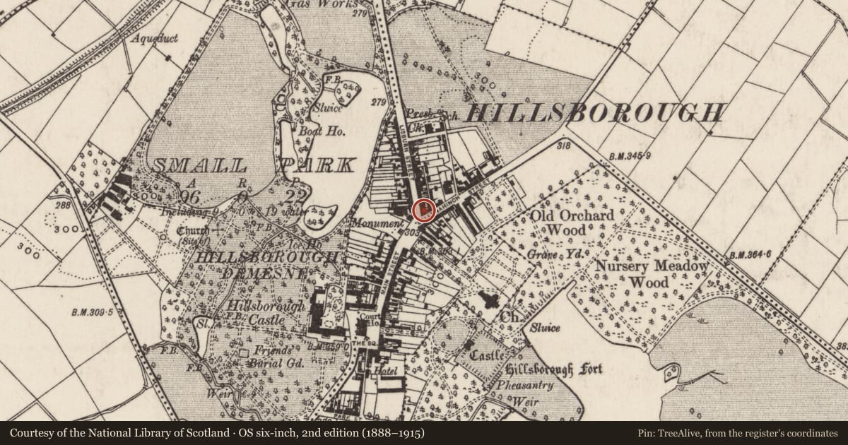 Ordnance Survey six-inch map, 2nd edition (1888–1915) covering the location of 1, 3, 5 Lisburn Street, Lisburn and Castlereagh, with a pin at the register's coordinates