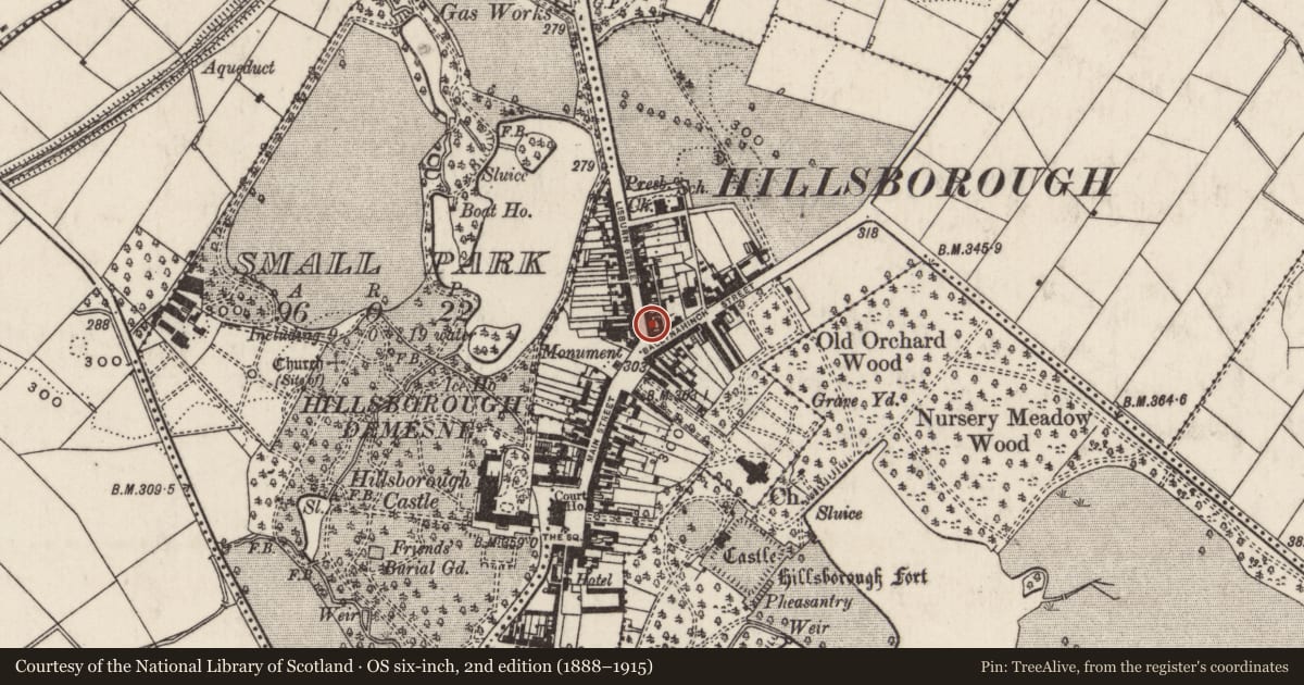 Ordnance Survey six-inch map, 2nd edition (1888–1915) covering the location of 7 Lisburn Street, Lisburn and Castlereagh, with a pin at the register's coordinates