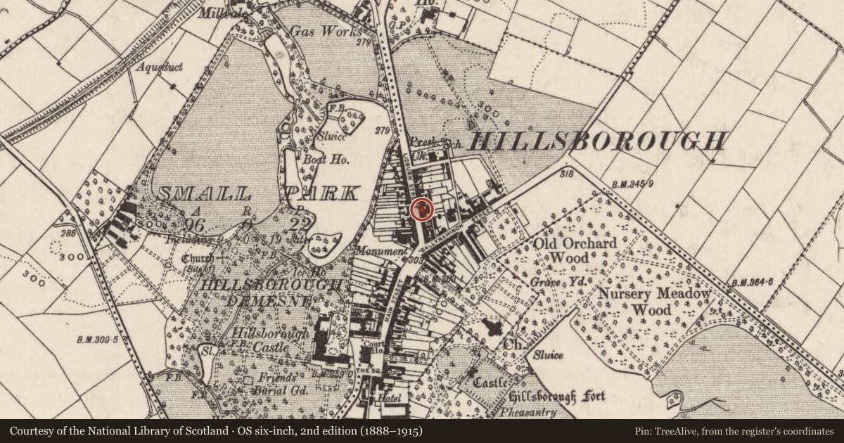 Ordnance Survey six-inch map, 2nd edition (1888–1915) covering the location of 29-31 Lisburn Street, Lisburn and Castlereagh, with a pin at the register's coordinates