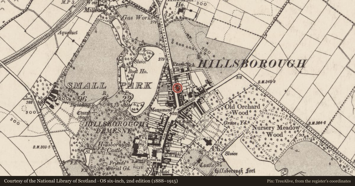 Ordnance Survey six-inch map, 2nd edition (1888–1915) covering the location of 35 Lisburn Street, Lisburn and Castlereagh, with a pin at the register's coordinates
