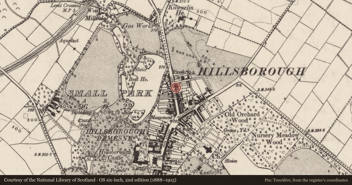 Ordnance Survey six-inch map, 2nd edition (1888–1915) covering the location of 43 Lisburn Street, Hillsborough, Lisburn and Castlereagh, with a pin at the register's coordinates