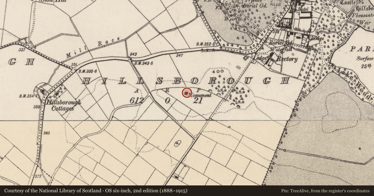 Ordnance Survey six-inch map, 2nd edition (1888–1915) covering the location of Marquis of Downshire Monument, Hillsborough, Lisburn and Castlereagh, with a pin at the register's coordinates