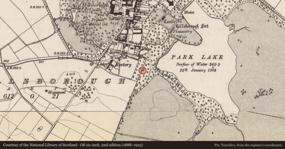 Ordnance Survey six-inch map, 2nd edition (1888–1915) covering the location of Field Gate and pillars, Lisburn and Castlereagh, with a pin at the register's coordinates