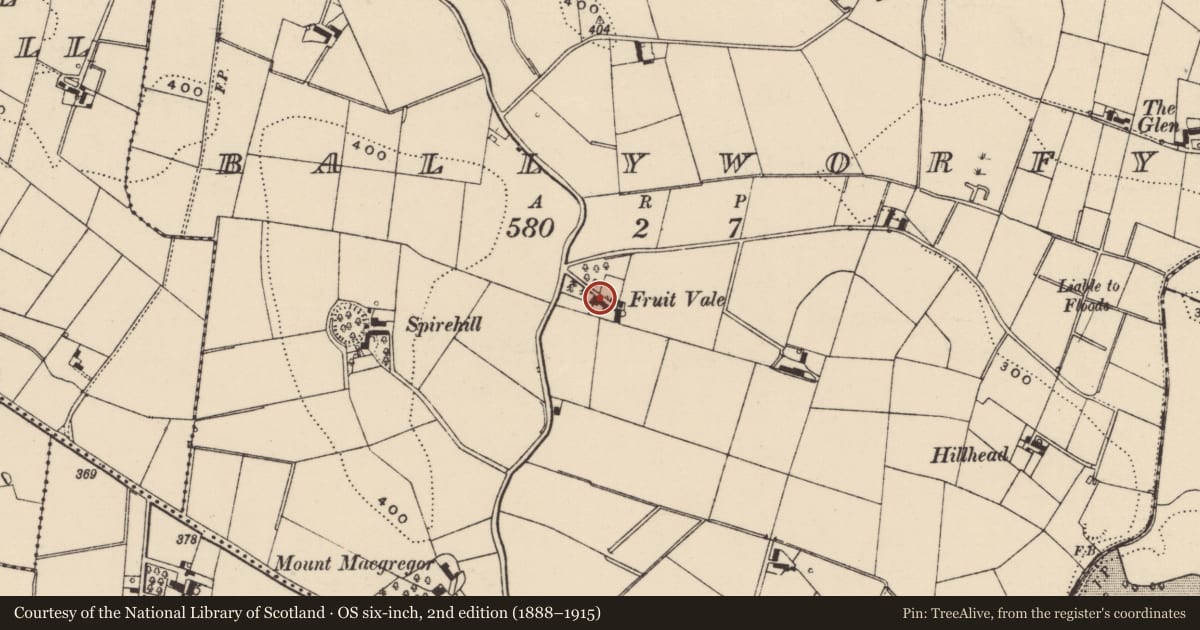 Ordnance Survey six-inch map, 2nd edition (1888–1915) covering the location of Fruit Vale, Lisburn and Castlereagh, with a pin at the register's coordinates