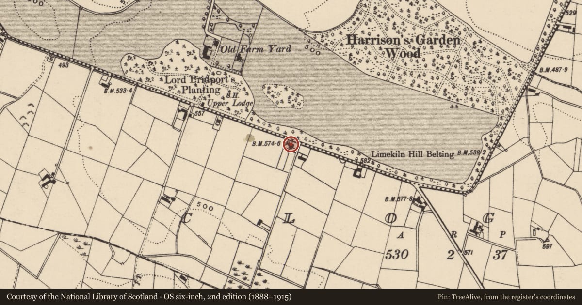 Ordnance Survey six-inch map, 2nd edition (1888–1915) covering the location of 84 Dromara Road, Clogher, Lisburn and Castlereagh, with a pin at the register's coordinates