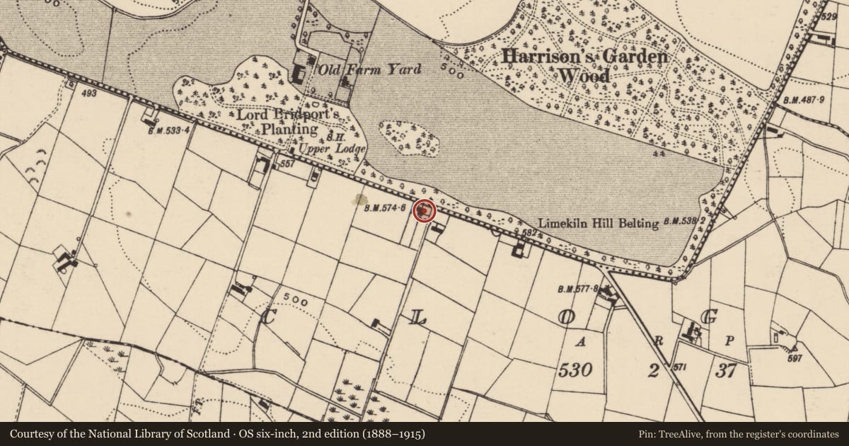 Ordnance Survey six-inch map, 2nd edition (1888–1915) covering the location of 86 Dromara Road, Clogher, Lisburn and Castlereagh, with a pin at the register's coordinates