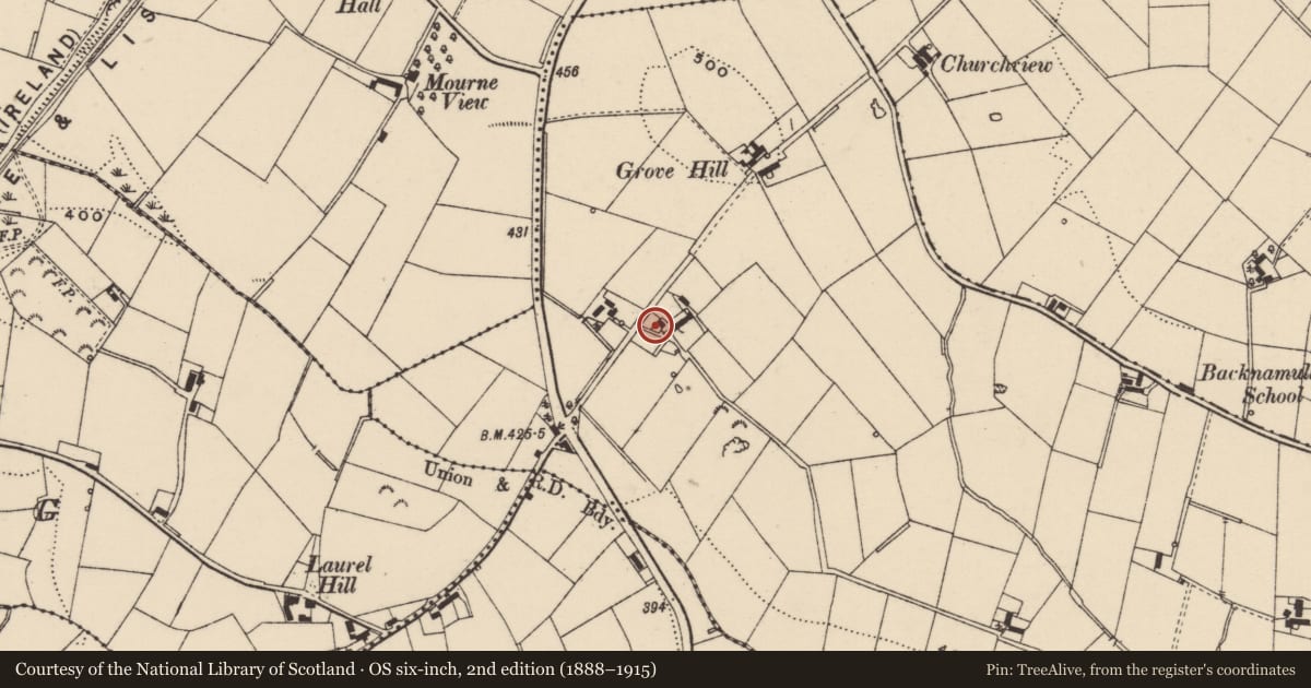 Ordnance Survey six-inch map, 2nd edition (1888–1915) covering the location of 134 Hillsborough Road, Lisburn and Castlereagh, with a pin at the register's coordinates