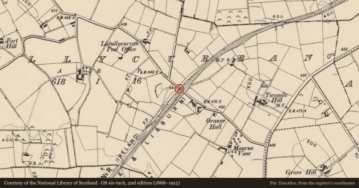 Ordnance Survey six-inch map, 2nd edition (1888–1915) covering the location of Road over Rail Bridge, Lisburn and Castlereagh, with a pin at the register's coordinates
