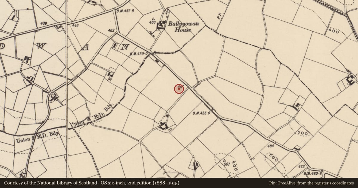 Ordnance Survey six-inch map, 2nd edition (1888–1915) covering the location of 77 Listullycurran Road, Lisburn and Castlereagh, with a pin at the register's coordinates