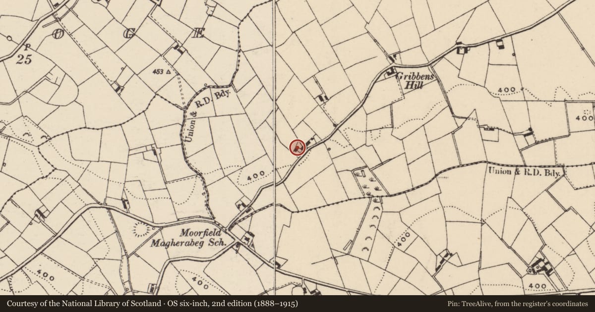 Ordnance Survey six-inch map, 2nd edition (1888–1915) covering the location of 9-11 Forthill Road, Lisburn and Castlereagh, with a pin at the register's coordinates
