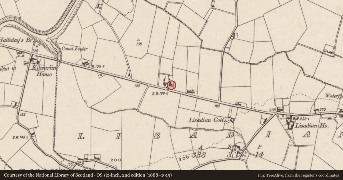 Ordnance Survey six-inch map, 2nd edition (1888–1915) covering the location of Ashgrove, Lisburn and Castlereagh, with a pin at the register's coordinates