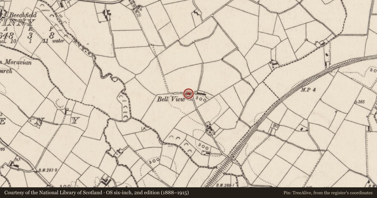 Ordnance Survey six-inch map, 2nd edition (1888–1915) covering the location of Bellevue, Lisburn and Castlereagh, with a pin at the register's coordinates