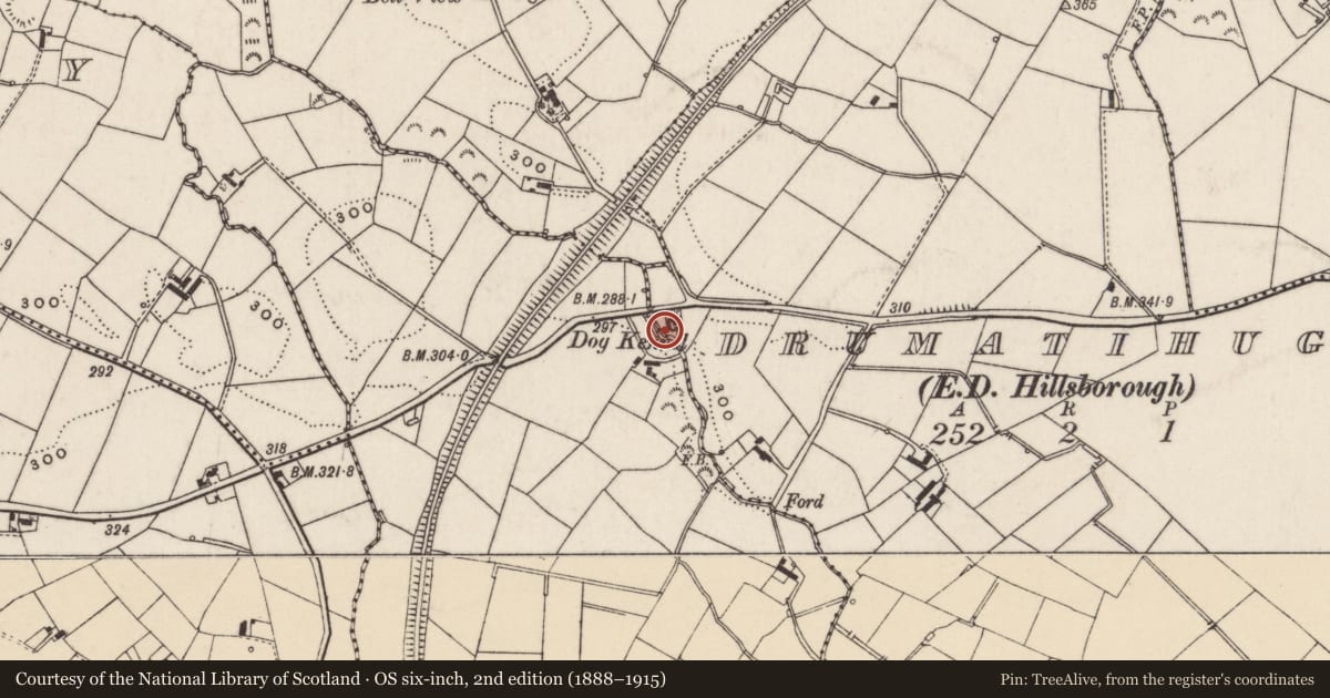 Ordnance Survey six-inch map, 2nd edition (1888–1915) covering the location of The Kennels, Lisburn and Castlereagh, with a pin at the register's coordinates