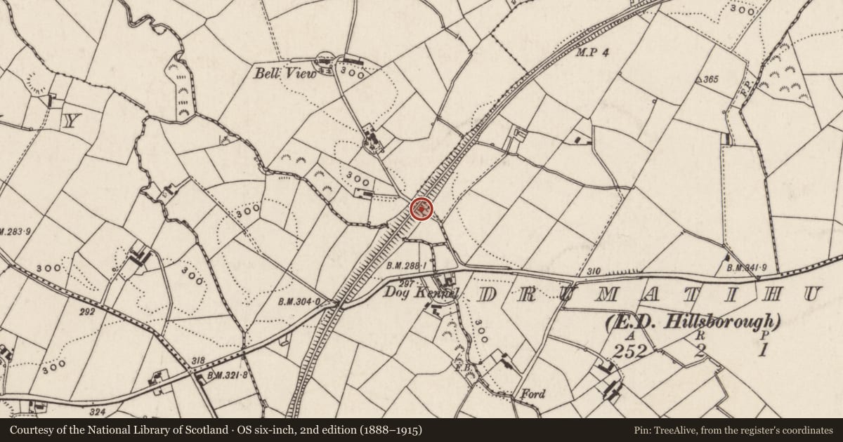 Ordnance Survey six-inch map, 2nd edition (1888–1915) covering the location of Railway Arch, Lisburn and Castlereagh, with a pin at the register's coordinates