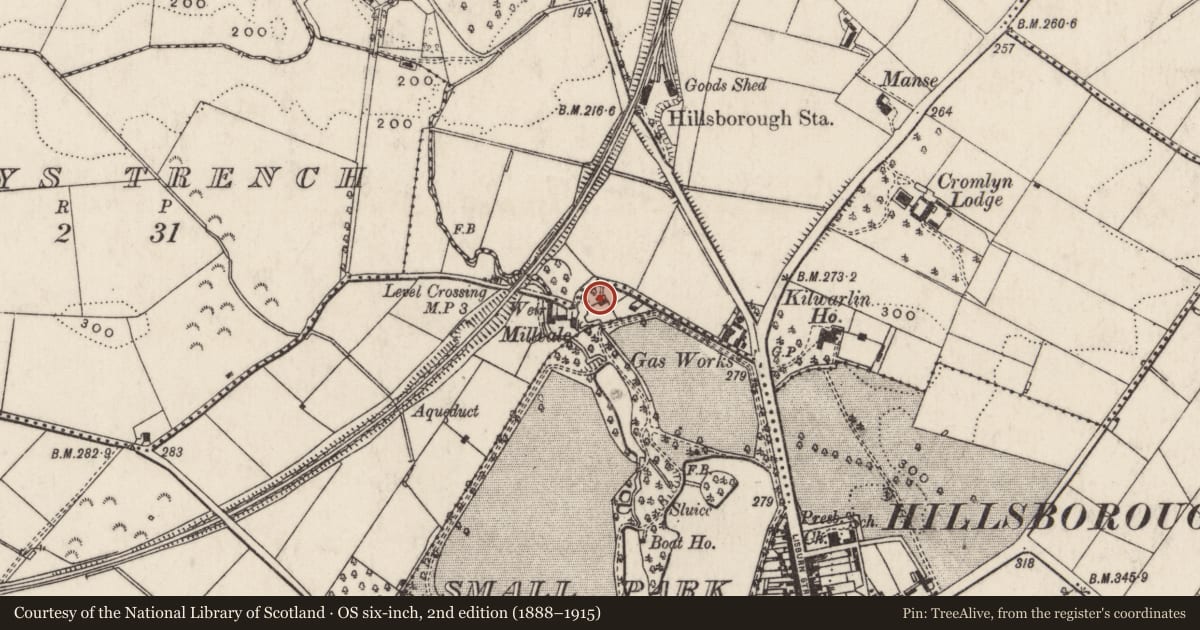 Ordnance Survey six-inch map, 2nd edition (1888–1915) covering the location of 21 Millvale Road, Lisburn and Castlereagh, with a pin at the register's coordinates