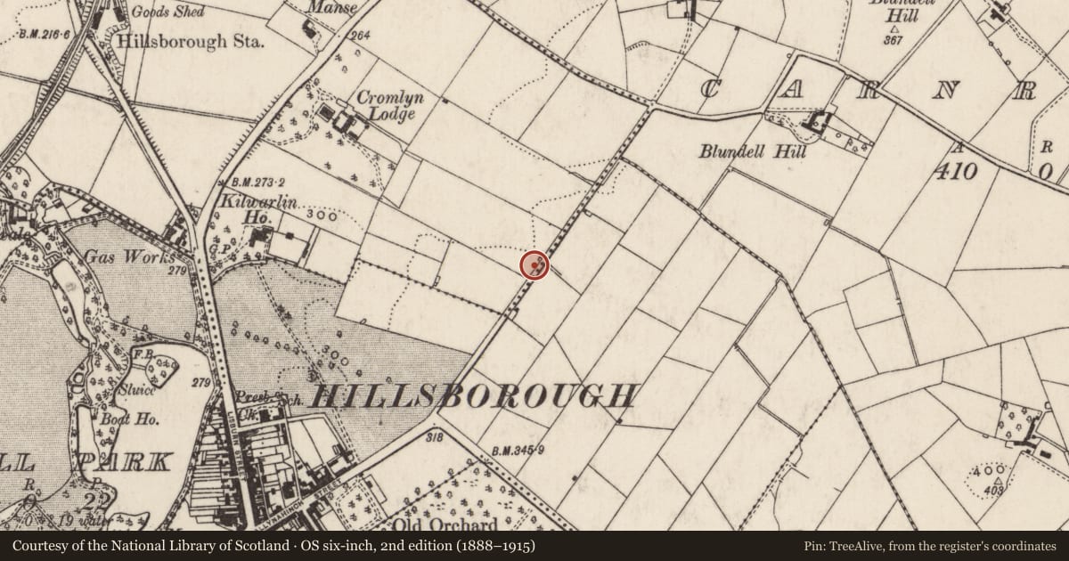 Ordnance Survey six-inch map, 2nd edition (1888–1915) covering the location of Pump in front of 20 Carnreagh Road, Hillsborough, Lisburn and Castlereagh, with a pin at the register's coordinates