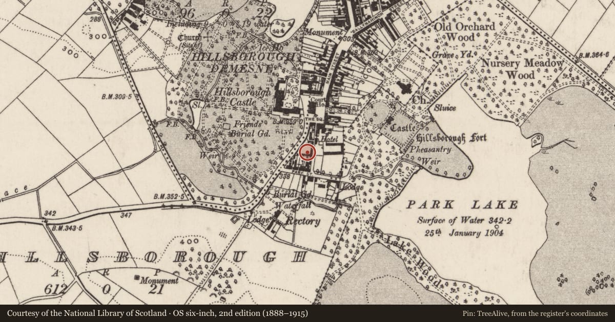 Ordnance Survey six-inch map, 2nd edition (1888–1915) covering the location of The Shambles, Hillsborough, Lisburn and Castlereagh, with a pin at the register's coordinates
