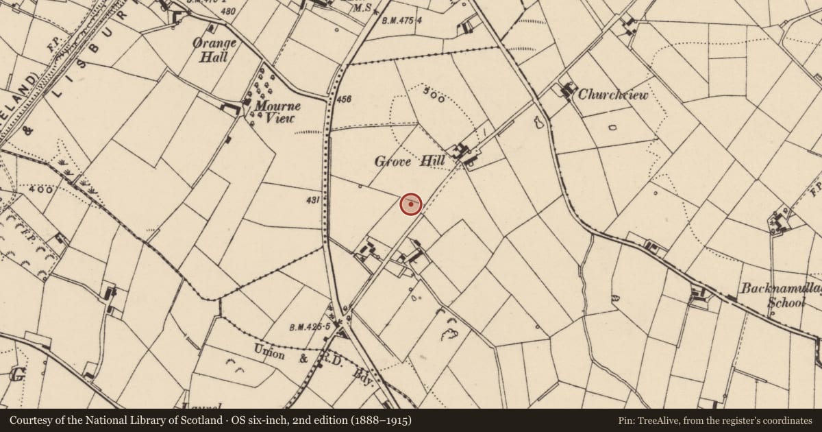 Ordnance Survey six-inch map, 2nd edition (1888–1915) covering the location of Farm Buildings, Backnamullagh, Lisburn and Castlereagh, with a pin at the register's coordinates