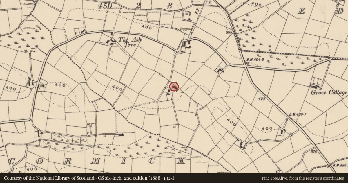 Ordnance Survey six-inch map, 2nd edition (1888–1915) covering the location of 54 Grove Road, Backnamullagh, Lisburn and Castlereagh, with a pin at the register's coordinates