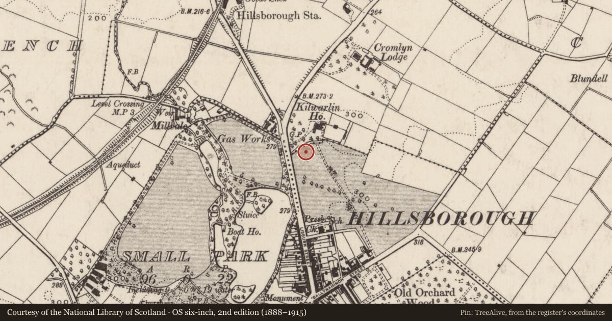 Ordnance Survey six-inch map, 2nd edition (1888–1915) covering the location of Hillsborough Police Station, Lisburn and Castlereagh, with a pin at the register's coordinates