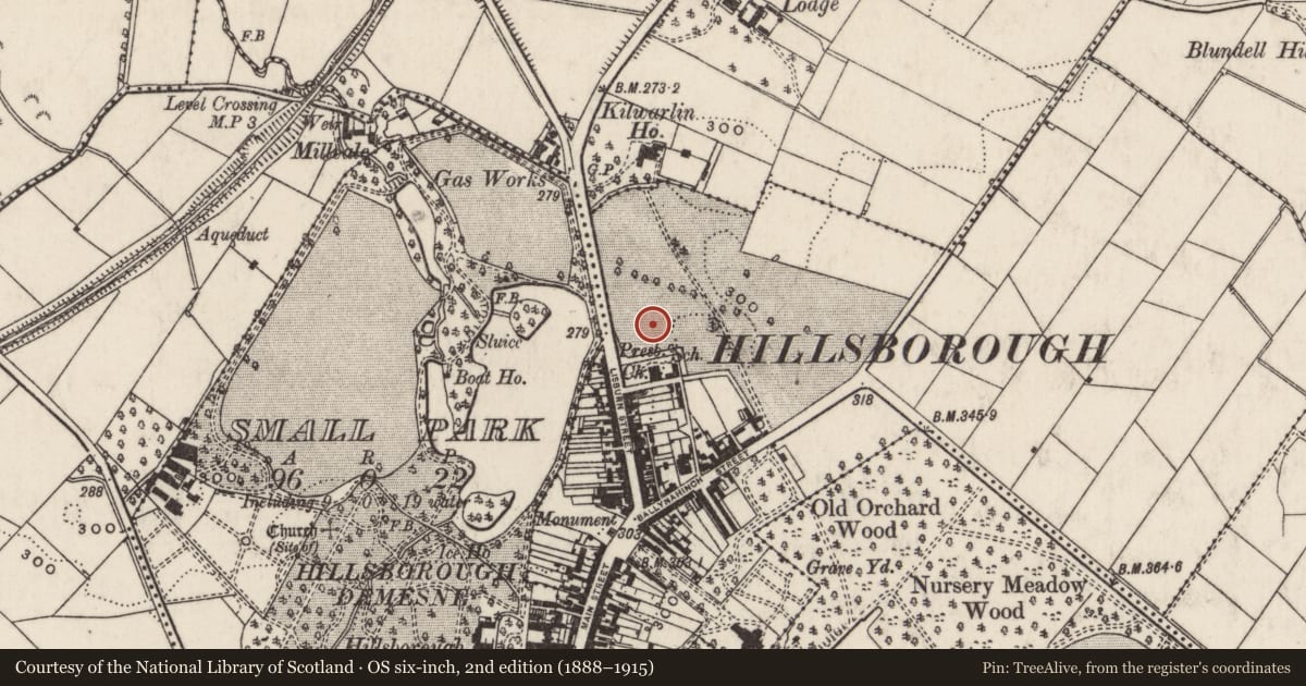 Ordnance Survey six-inch map, 2nd edition (1888–1915) covering the location of The Old Manse, 2 Lisburn Road, Hillsborough, Co Down, BT26 6AA, Lisburn and Castlereagh, with a pin at the register's coordinates