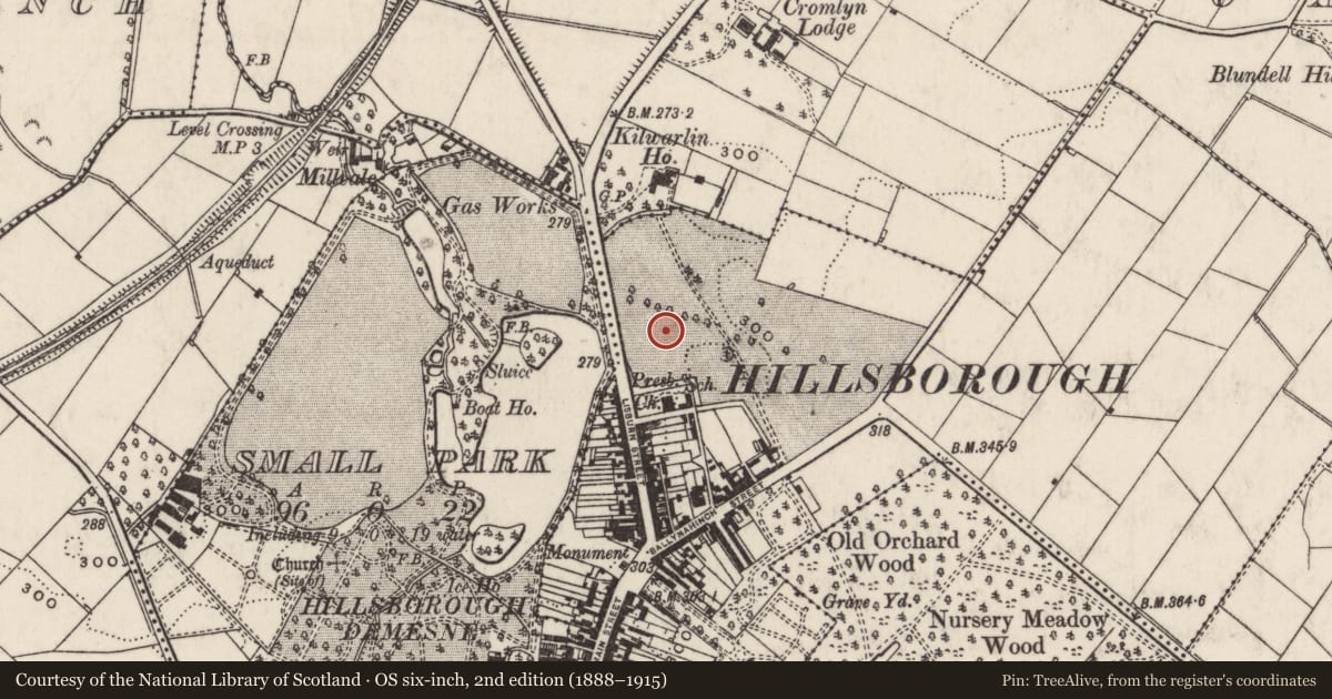Ordnance Survey six-inch map, 2nd edition (1888–1915) covering the location of 'Edenfells' 4 Lisburn Road, Hillsborough, Co Down, BT26 6AA, Lisburn and Castlereagh, with a pin at the register's coordinates