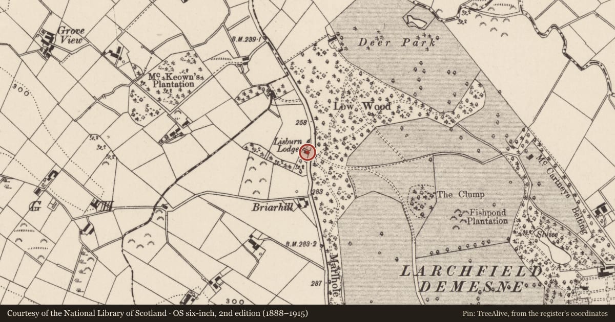 Ordnance Survey six-inch map, 2nd edition (1888–1915) covering the location of The Laurels, Aghnaleck, Lisburn and Castlereagh, with a pin at the register's coordinates