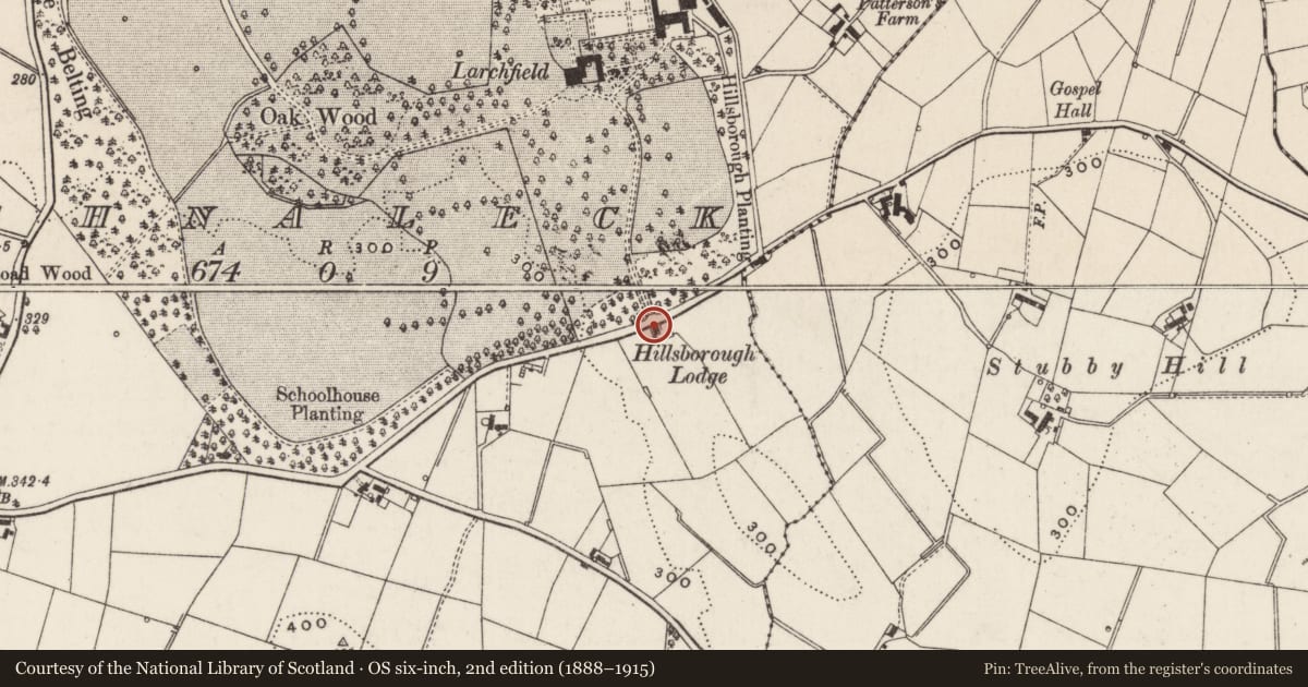 Ordnance Survey six-inch map, 2nd edition (1888–1915) covering the location of Hillsborough Lodge, Aghnaleck, Lisburn and Castlereagh, with a pin at the register's coordinates