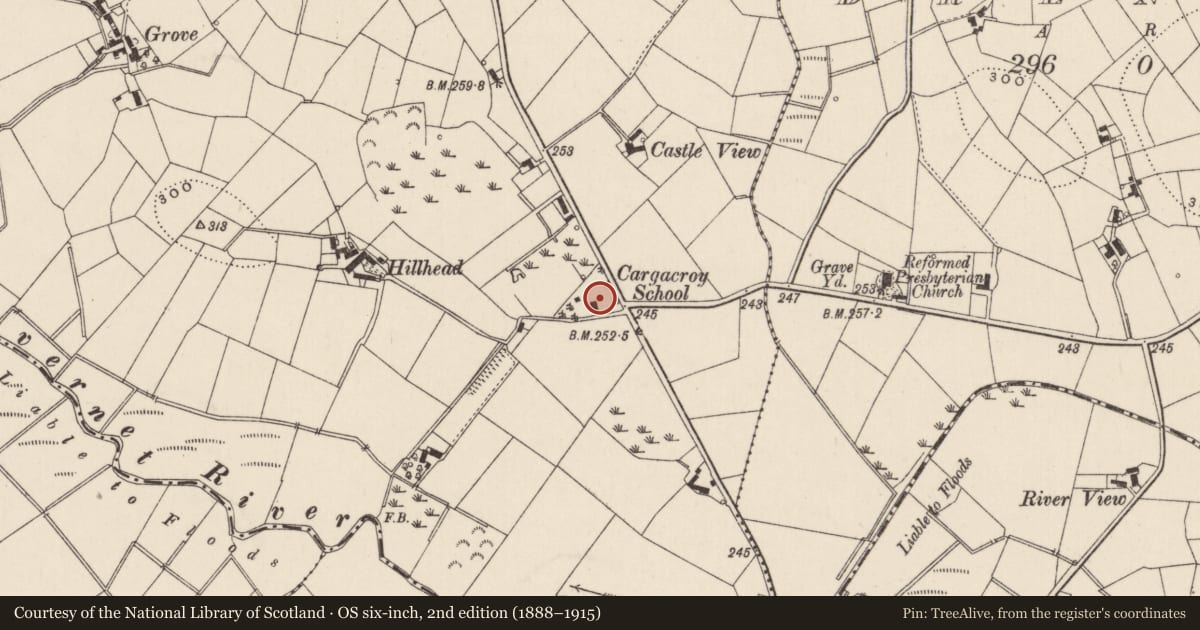 Ordnance Survey six-inch map, 2nd edition (1888–1915) covering the location of Cargycroy Primary School, Lisburn and Castlereagh, with a pin at the register's coordinates