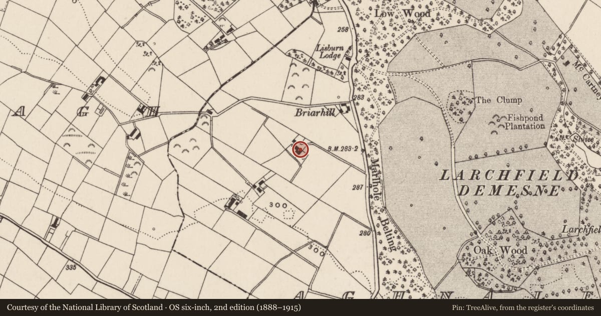 Ordnance Survey six-inch map, 2nd edition (1888–1915) covering the location of Aghnaleck House, Lisburn and Castlereagh, with a pin at the register's coordinates