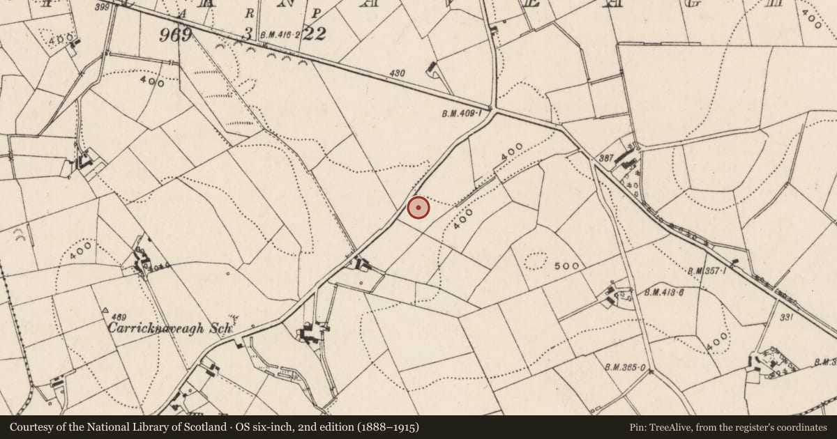 Ordnance Survey six-inch map, 2nd edition (1888–1915) covering the location of Carricknaveagh Primary School, Lisburn and Castlereagh, with a pin at the register's coordinates