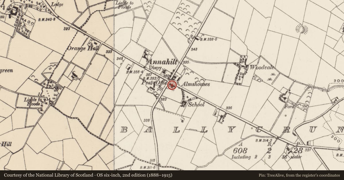 Ordnance Survey six-inch map, 2nd edition (1888–1915) covering the location of Annahilt Almshouses, Ballycrune, Lisburn and Castlereagh, with a pin at the register's coordinates