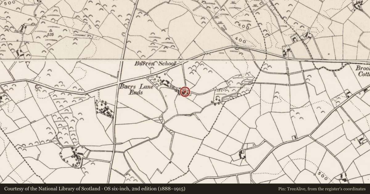 Ordnance Survey six-inch map, 2nd edition (1888–1915) covering the location of 50 Burren Road, Lisburn and Castlereagh, with a pin at the register's coordinates