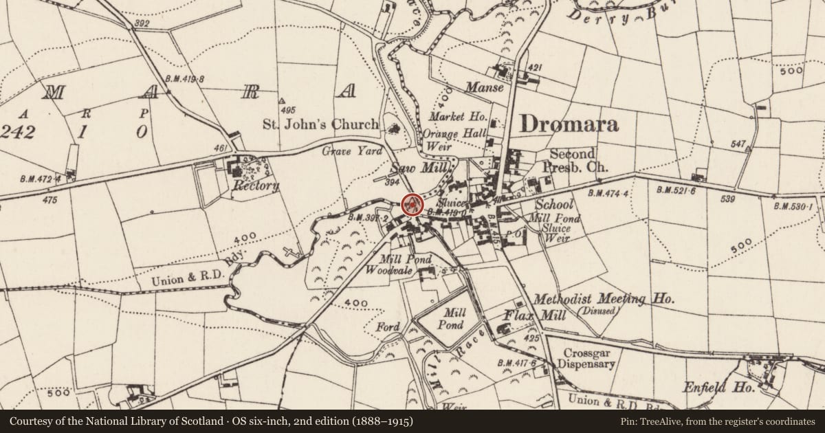 Ordnance Survey six-inch map, 2nd edition (1888–1915) covering the location of Bridge, Crossgar/Dromora, Lisburn and Castlereagh, with a pin at the register's coordinates
