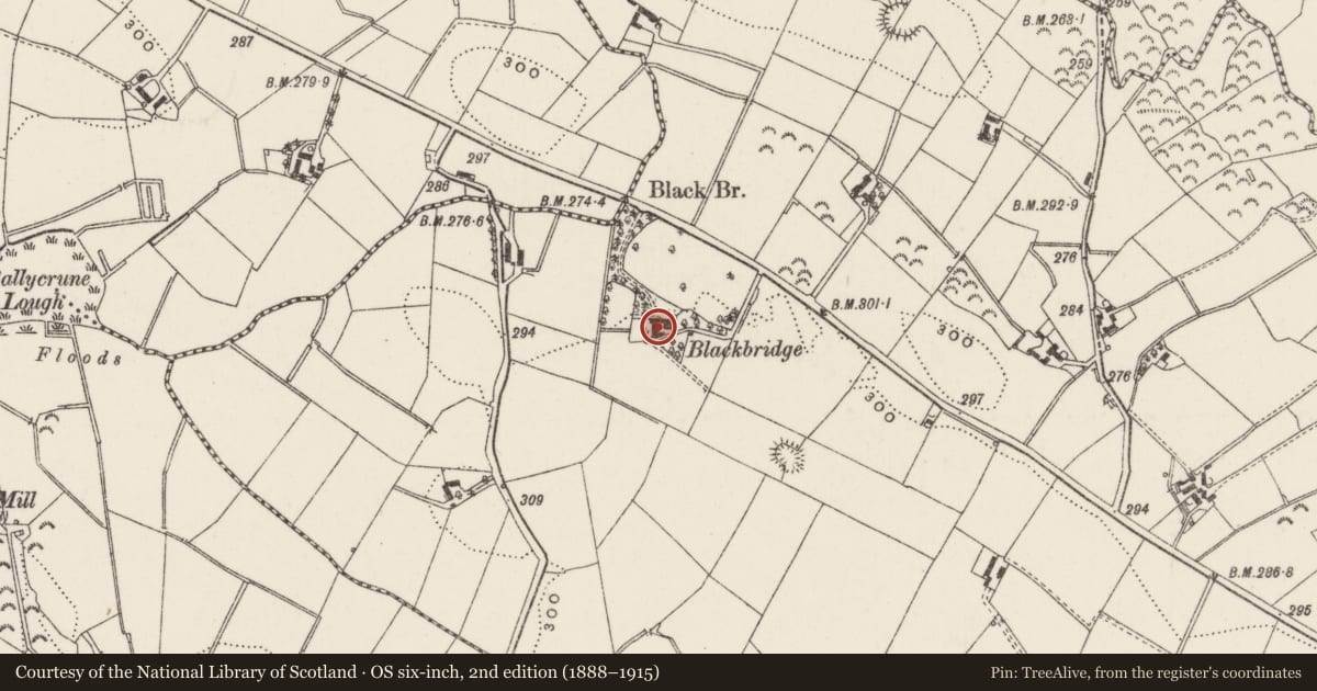 Ordnance Survey six-inch map, 2nd edition (1888–1915) covering the location of Loughaghery Manse, Lisburn and Castlereagh, with a pin at the register's coordinates