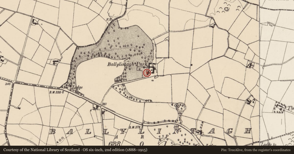 Ordnance Survey six-inch map, 2nd edition (1888–1915) covering the location of Ballylintagh Park, Lisburn and Castlereagh, with a pin at the register's coordinates