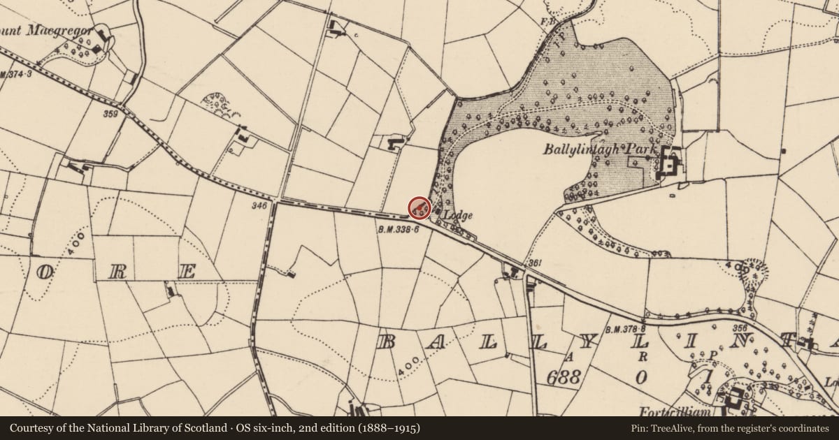 Ordnance Survey six-inch map, 2nd edition (1888–1915) covering the location of Lodge, Ballylintagh, Lisburn and Castlereagh, with a pin at the register's coordinates