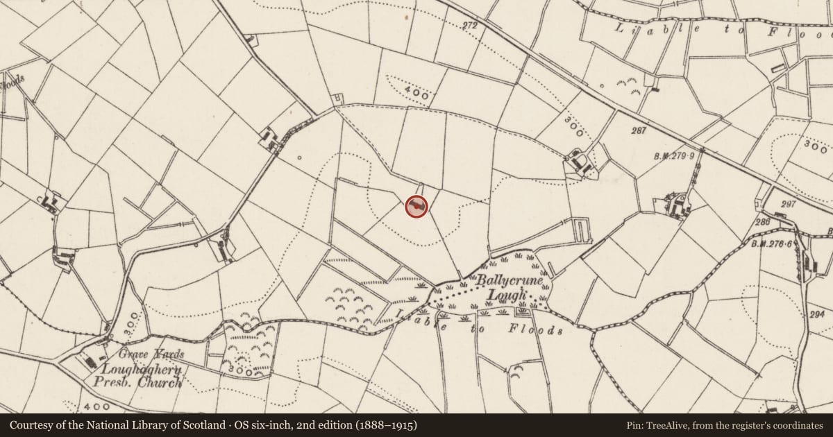 Ordnance Survey six-inch map, 2nd edition (1888–1915) covering the location of 15 Loughaghery Road, Ballycrune, Lisburn and Castlereagh, with a pin at the register's coordinates