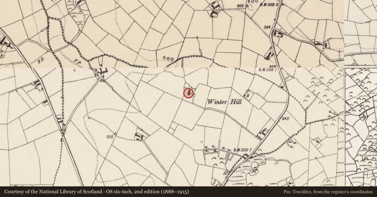 Ordnance Survey six-inch map, 2nd edition (1888–1915) covering the location of Winter Hill, Moydalgan, Lisburn and Castlereagh, with a pin at the register's coordinates