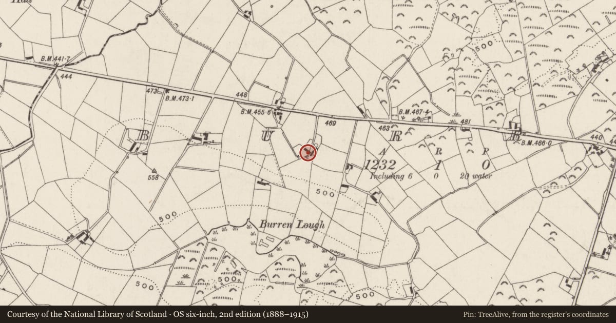 Ordnance Survey six-inch map, 2nd edition (1888–1915) covering the location of 116 Dromore Road, Burren, Lisburn and Castlereagh, with a pin at the register's coordinates