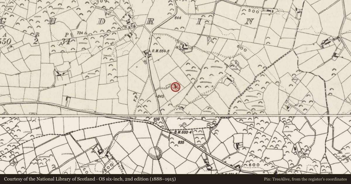 Ordnance Survey six-inch map, 2nd edition (1888–1915) covering the location of 29 Hill Road, Mullaghdrin, Lisburn and Castlereagh, with a pin at the register's coordinates