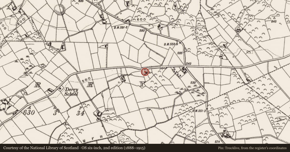 Ordnance Survey six-inch map, 2nd edition (1888–1915) covering the location of 93 Ballynahinch Road, Derry, Lisburn and Castlereagh, with a pin at the register's coordinates