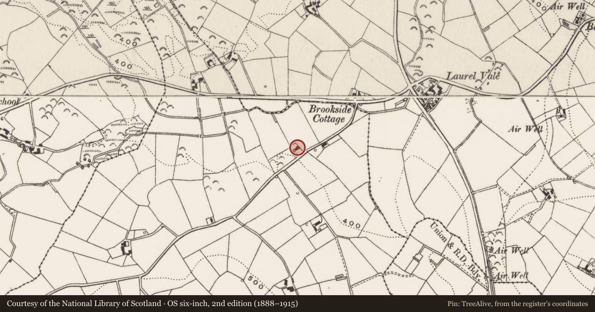 Ordnance Survey six-inch map, 2nd edition (1888–1915) covering the location of 5 Brookside Road, Clonanagullion, Lisburn and Castlereagh, with a pin at the register's coordinates