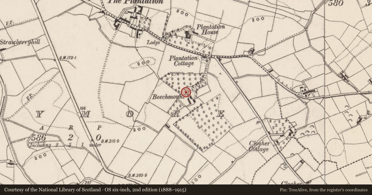 Ordnance Survey six-inch map, 2nd edition (1888–1915) covering the location of Beechmount Farm, Largymore, Lisburn and Castlereagh, with a pin at the register's coordinates